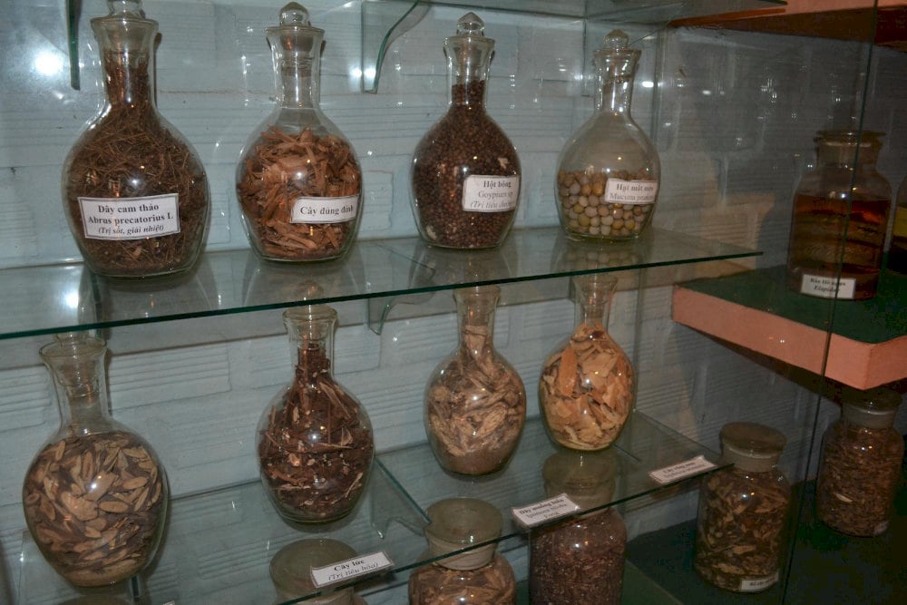 These preserved herbs reflect the rich knowledge of traditional Vietnamese medicine in Phu Quoc